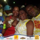 Bloco Skol Folia